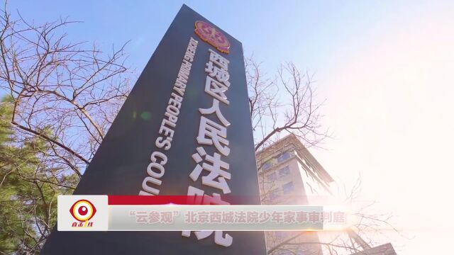 宪法日,北京西城法院少年家事审判庭首次开启“云参观”