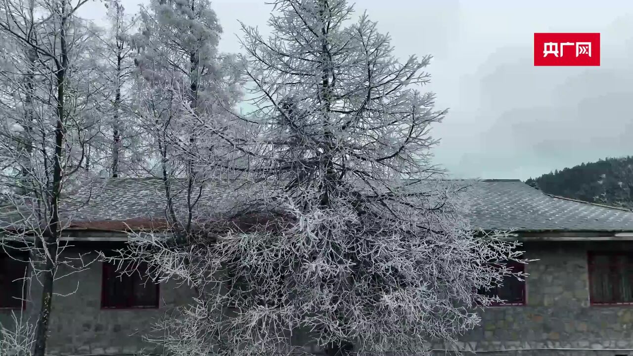 皓雪晶莹皎洁剔透 重庆彭水摩围山千林挂雾凇