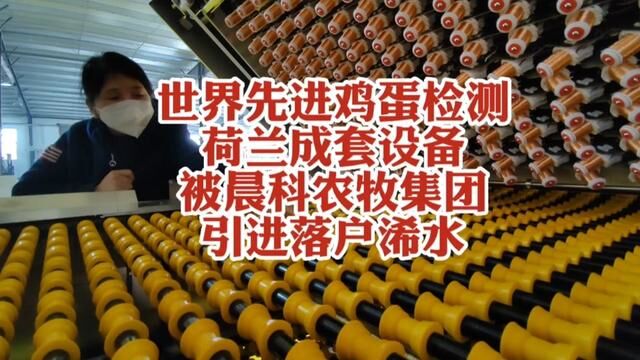 世界先进鸡蛋检测成套设备被晨科农牧引进落户湖北黄冈浠水 #分拣线 #清洗机 #烘干机 #智能制造 #自动化 #寻访浠水