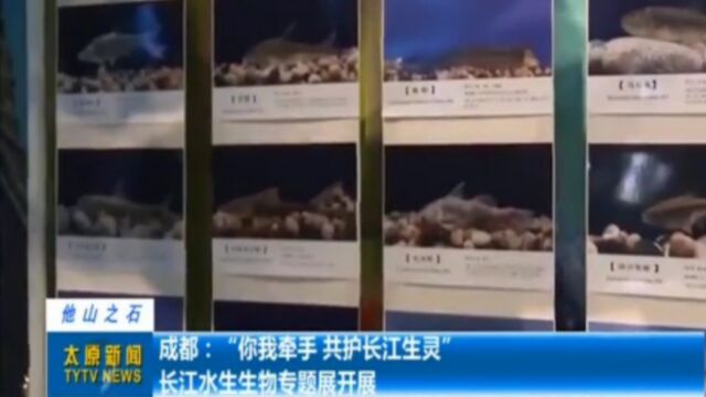 成都:“你我牵手,共护长江生灵”长江水生生物专题展开展