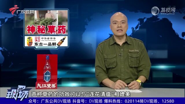 网传男子挖到 “臭灵丹草” 药效堪比 “连花清瘟”?