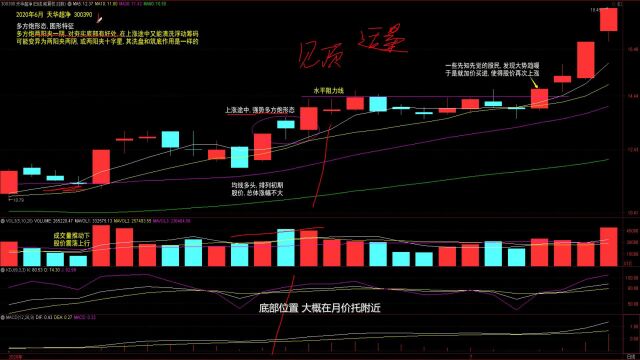 5.多方炮形态图形特征