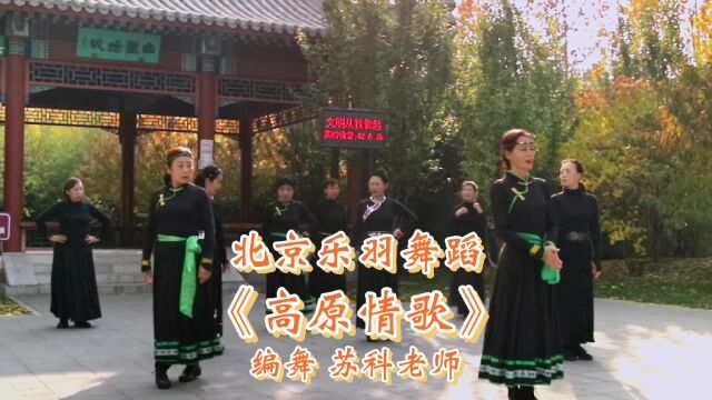 北京乐羽舞蹈《高原情歌》乐羽领舞2022.11.8拍摄于北京龙潭公园 #民族舞蹈舞出民族特色 #藏舞跳起来 #拍摄现场