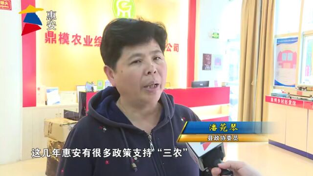 【代表委员风采】惠安县政协委员潘菀琴:做乡村振兴的“追梦人”