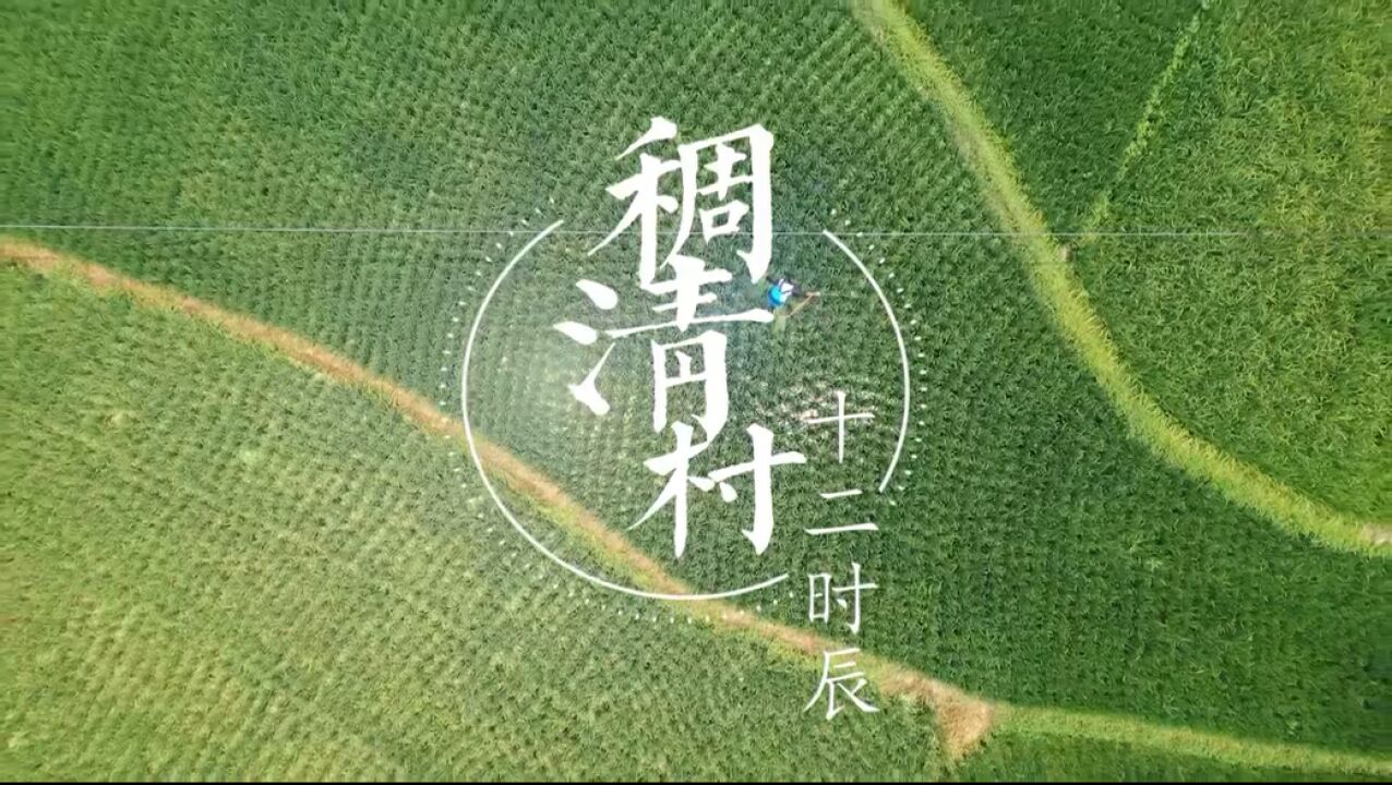 湖南城建职院摄制作品获省大学生微电影短视频大赛一等奖