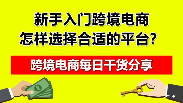 新手入门跨境电商怎样选择合适的平台?