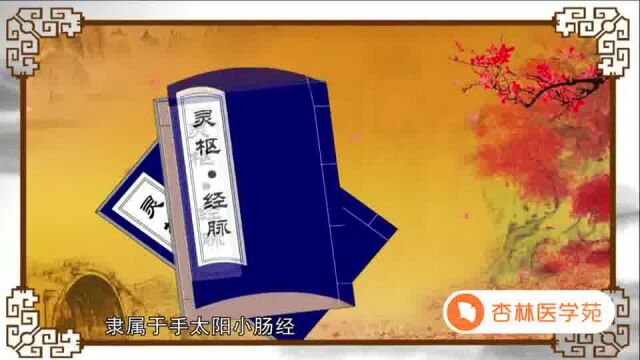 084【小肠经】84.支正穴—除痘祛疣的特效穴