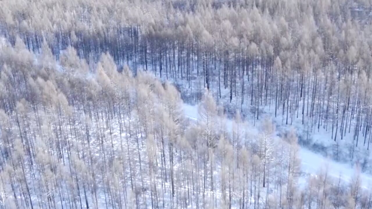 中国最冷的地方雪景有多美