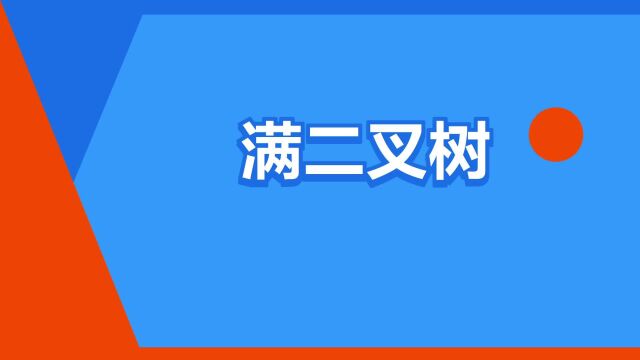 “满二叉树”是什么意思?