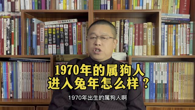 十二生肖兔年运势详解:1970年出生的属狗人兔年好不好?