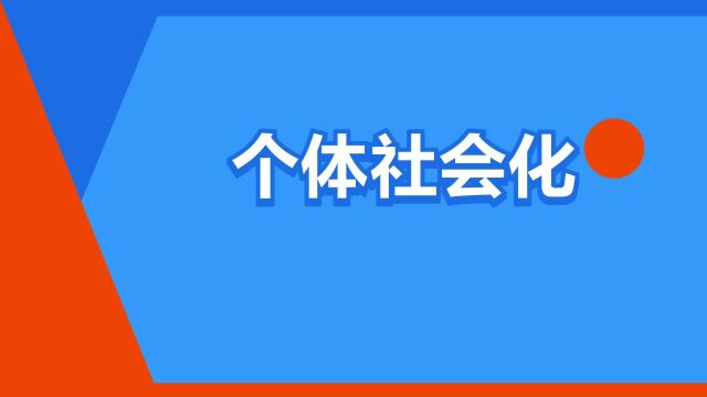 “个体社会化”是什么意思?