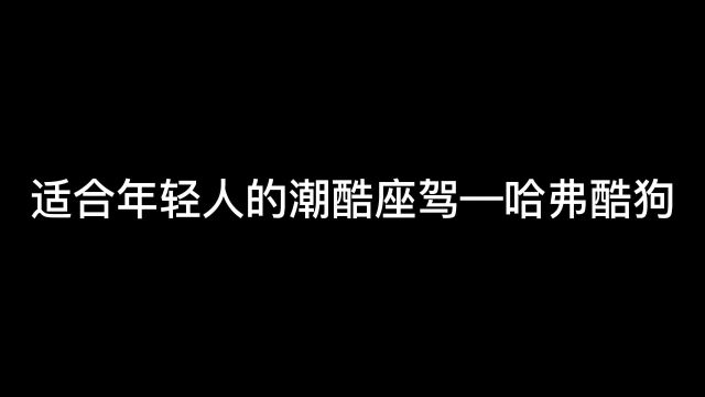 与哈弗酷狗一起出发吧!去探索世界的美好