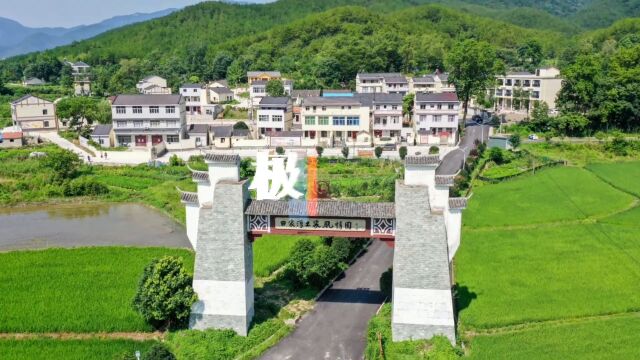 【视频】打造网红民俗文化体验区,政协委员建议深度挖掘黄陂田家湾土家文化