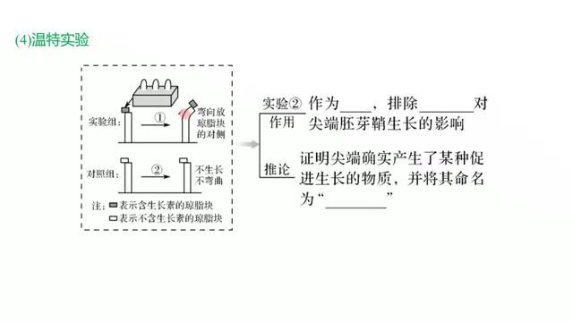 第26讲 植物生命活动的调节考点一