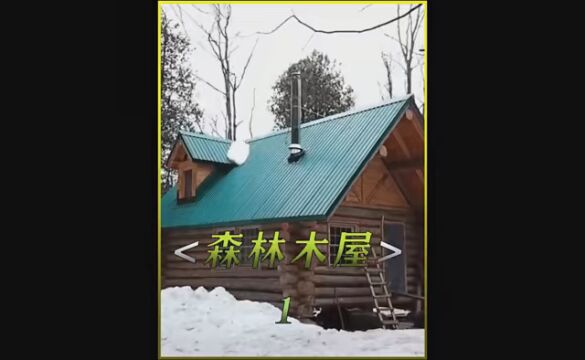 男人放弃百万美金年薪,花费六年时间建造了神级野外别墅!!#庇护所建造 #荒野建造 #解压