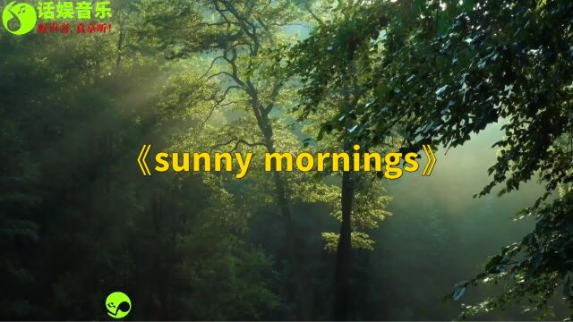 柔情舒缓减压音乐《sunny mornings》,愿你有个美好一天!