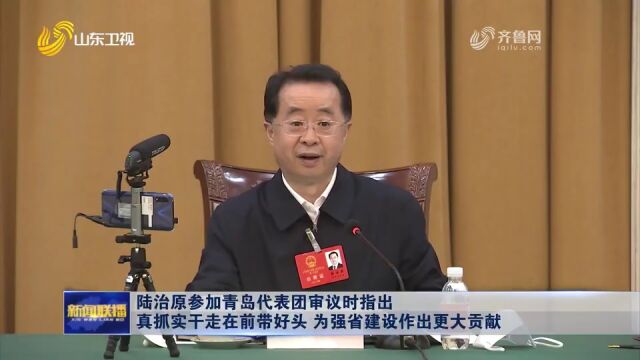 陆治原参加青岛代表团审议时指出 真抓实干走在前带好头 为强省建设作出更大贡献