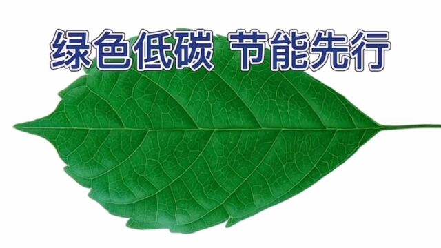 艺术设计学院党建服务中心