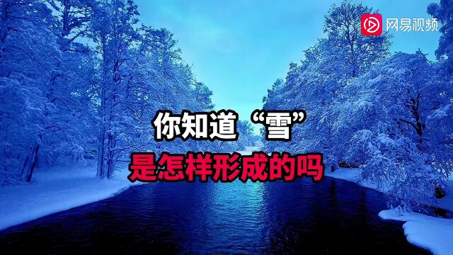 2023年的第一场雪,这些“冷”知识刷新你对雪的认识!