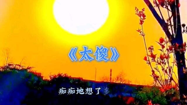 《太傻》1994年巫启贤发行了新专辑,其中同名主打曲《太傻》一时间成了人人传唱的经典