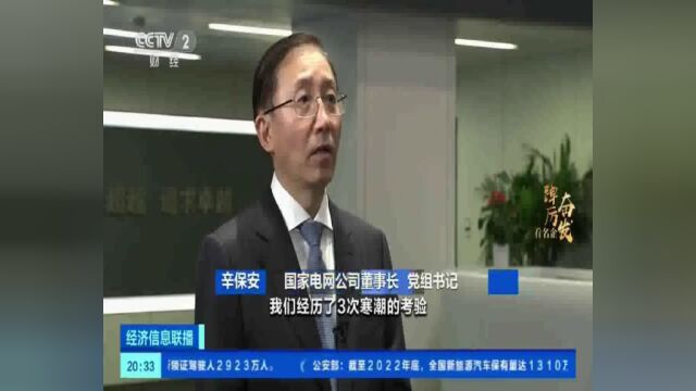 央视“走进国家电网”专访辛保安董事长