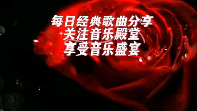 每日经典歌曲分享天天享受音乐盛宴