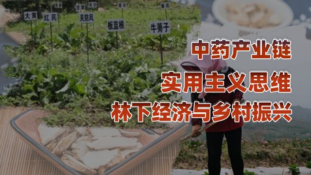 中国特色乡村振兴产业,林下经济中药产业链