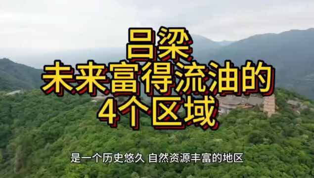 吕梁未来富得流油的区域,这四个区域实力最强,在当地脱颖而出