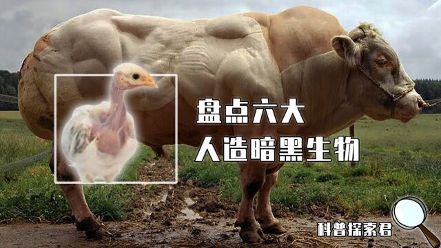 盘点六大人造生物!体长6.4米长得奇丑无比的怪物,你有见过吗?