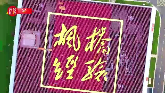 习近平浙江行丨坚持和发展新时代“枫桥经验”——走进枫桥经验陈列馆