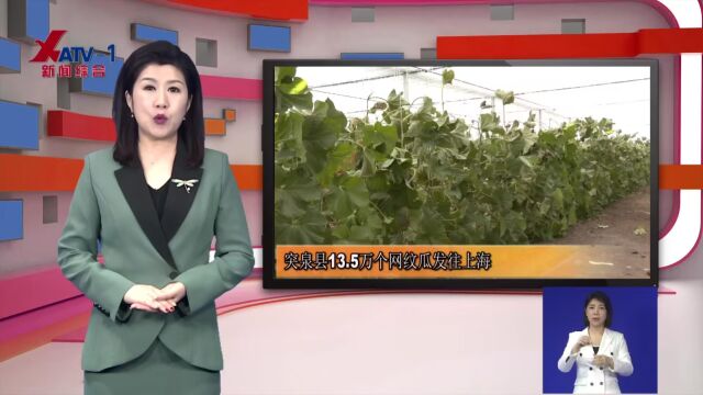 乡村振兴之窗2023年10月8日