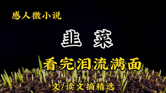 经典微小说《韭菜》看完泪流满面,一家人都是善良的人!