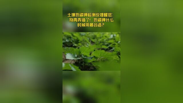 土壤氮磷钾检测仪提醒您:别再弄错了!氮磷钾什么时候用最合适?