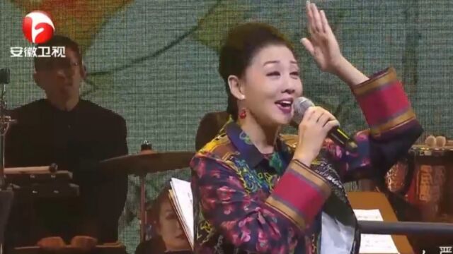 戏曲名家韩再芬,演绎黄梅戏《公司》选段,唱功宛如天籁丨花戏楼