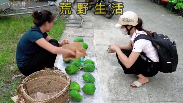 荒野生活,跟随音乐的节奏感受荒野生活到惬意