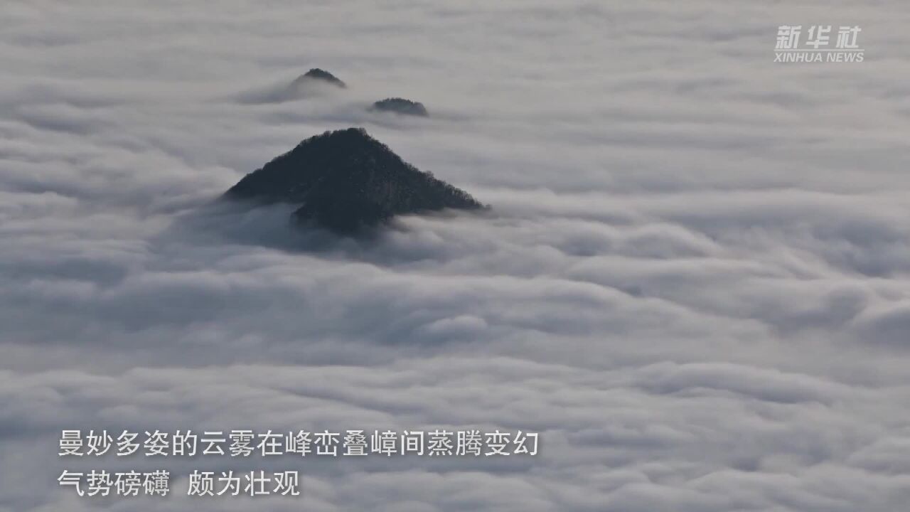 秋日华山:壮美云海入画来