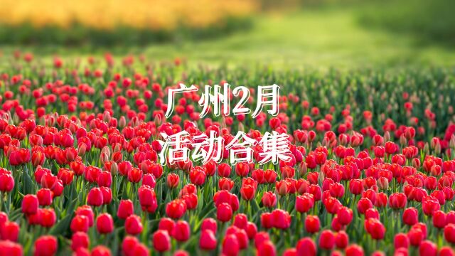 盘点广州2月活动