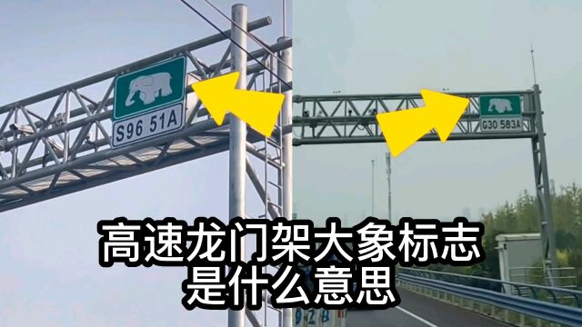 高速公路龙门架上的大象标志,是什么意思?你在的省份有吗?