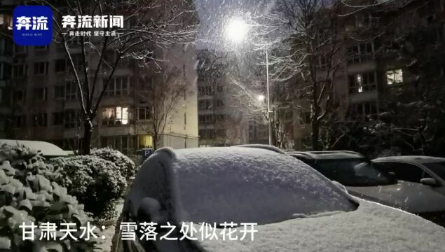 甘肃天水:雪落之处似花开