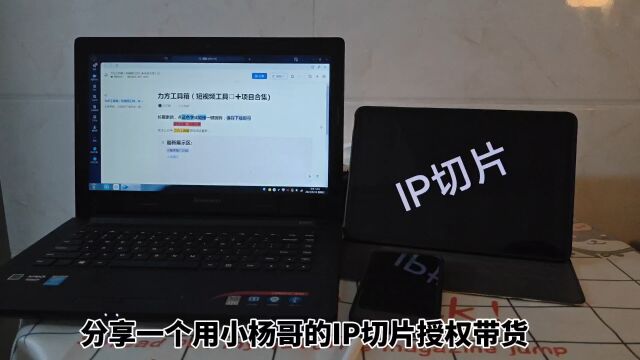 IP切片干货