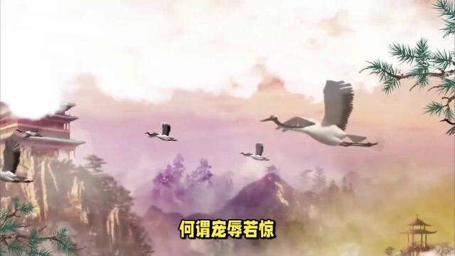 《道德经》十三章内心淡泊名利,追求自由平静,宠辱若惊