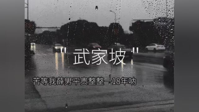 苦等我薛男平 贵整整18年 #音乐视频制作 #治愈系文字