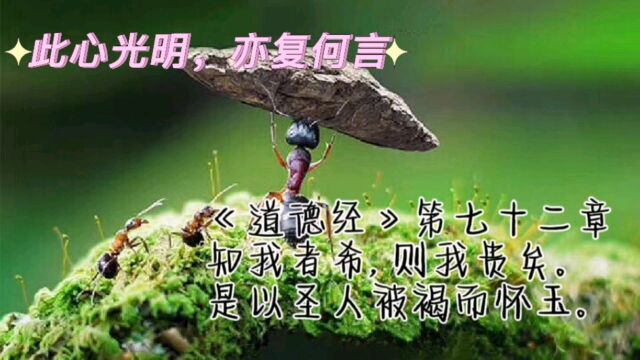 此心光明,亦复何言?|《道德经》