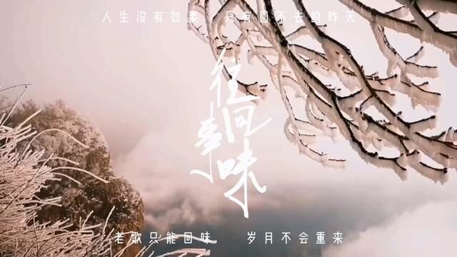 新乡小猫游园自驾关山~马武寨~太行一号公路~王莽岭~天界山雪景 #冰凌花 #采风 #树挂 #冰凌 #雪景写真 #水墨山水