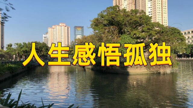 人生低谷期,把自己调成静音模式,熬过这一段狼狈再跟生活和解