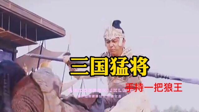 三国的猛将