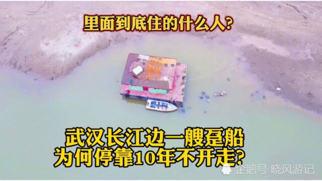 武汉长江边出现神秘趸船,为何停靠10年不开走?里面到底住着什么人?