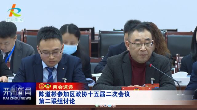 开州区长陈道彬参加区政协十五届二次会议联组讨论