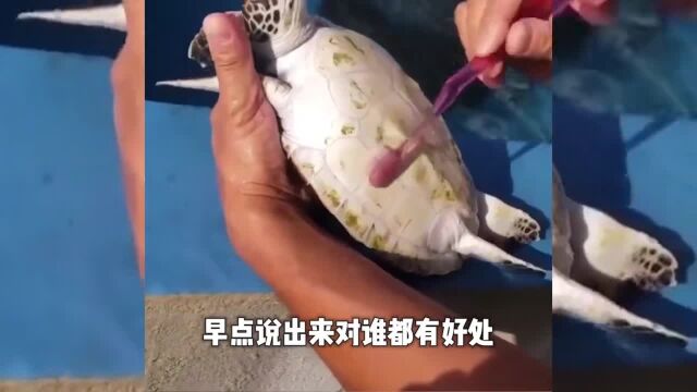 多走走多看看才能增长知识面!