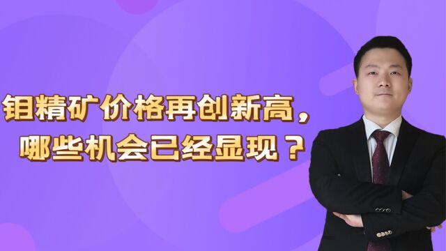 钼精矿价格再创新高,哪些机会已经显现?